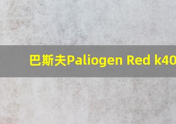 巴斯夫Paliogen Red k4090